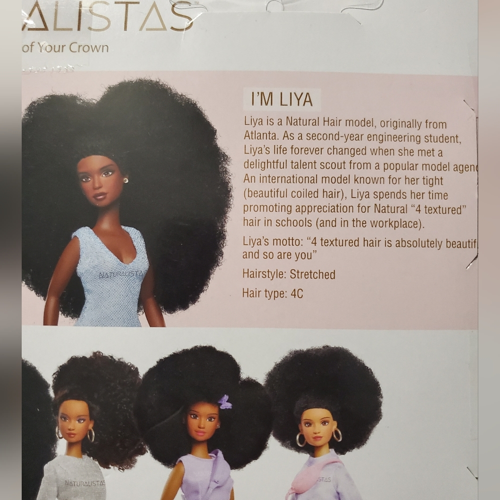 : Pack of 2 Naturalistas Dayna and Liya natural hair african american dolls. - Picture 6 of 7